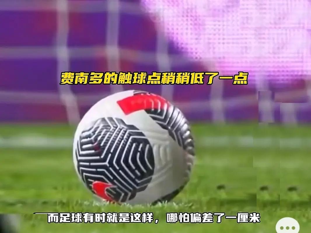 丽演出