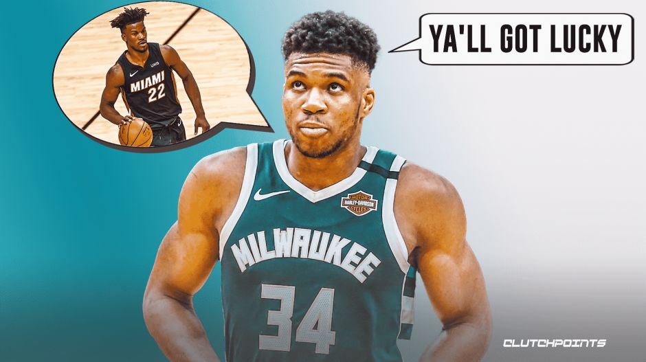 的情感纽带 的情感纽带