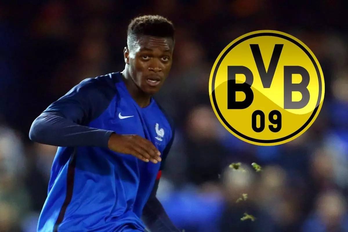 这种顽强的 这种顽强的